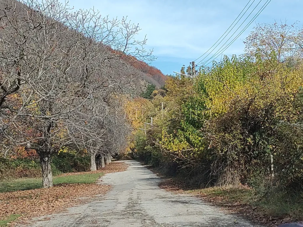 Пътят към Златишкия водопад