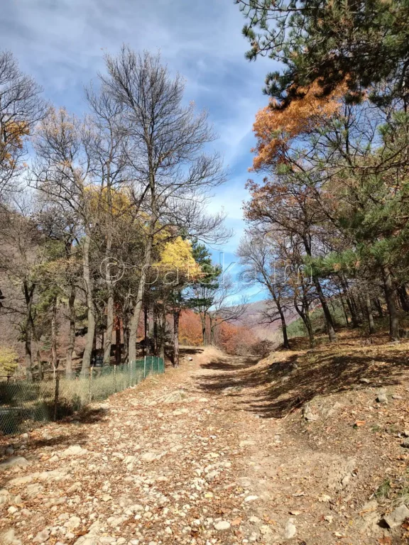 Пътят край параклис Св. Кирик и Юлита над Златица