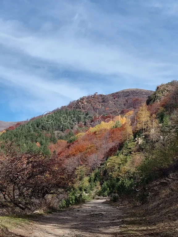 Панорамна гледка към Стара планина през есента
