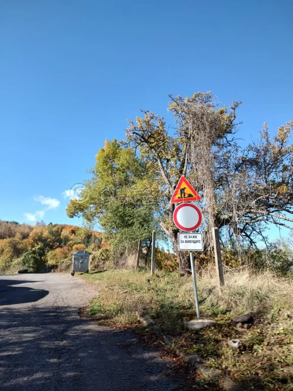 Знак забраняващ влизането на автомобили по маршрута за вековните секвои в местност Ючбунар