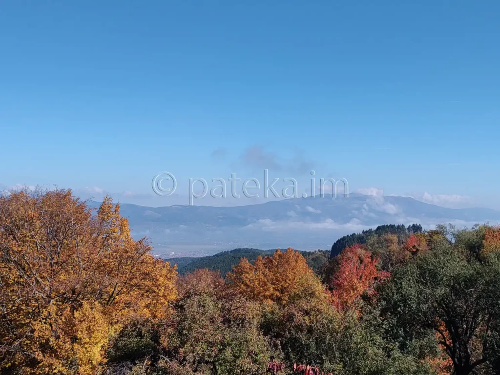 Гледки по маршрута за вековните секвои в местност Ючбунар край Кюстендил