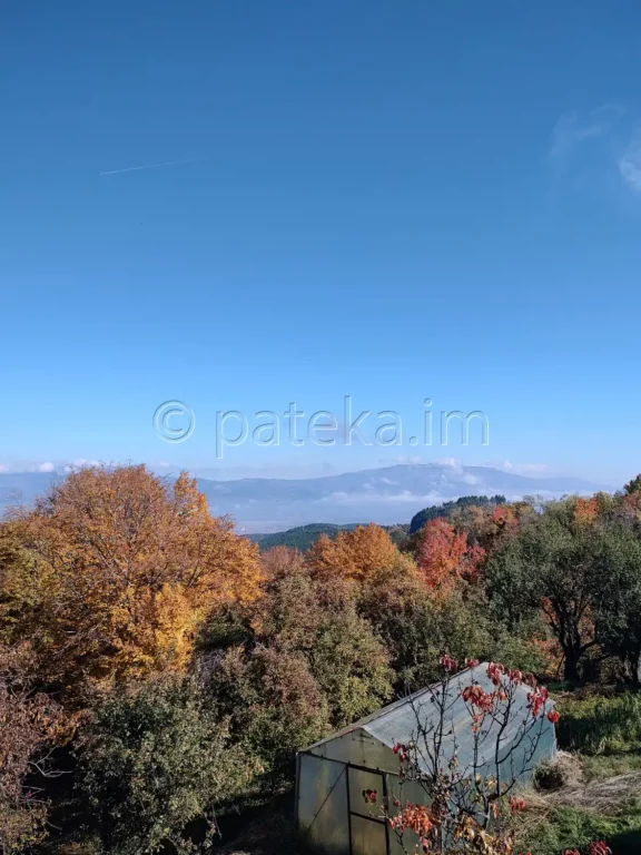 Гледки по маршрута за вековните секвои в местност Ючбунар край Кюстендил