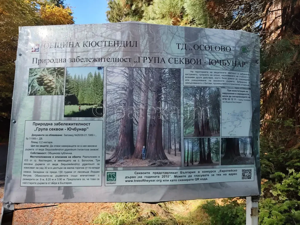 Информационна табелка в местност Ючбунар