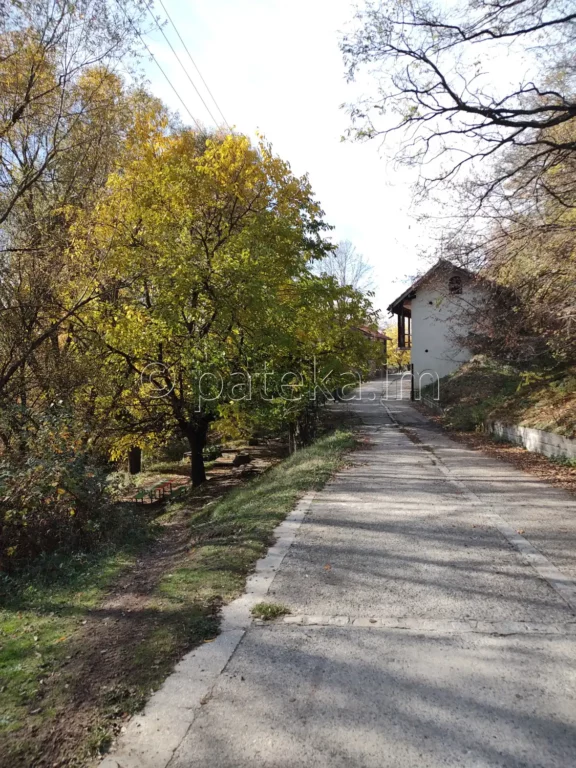 Пътят към Златишкия манастир, вляво пътеката за Спасовото кладенче