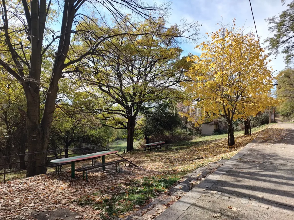 Маси и пейки про Златишкия манастир