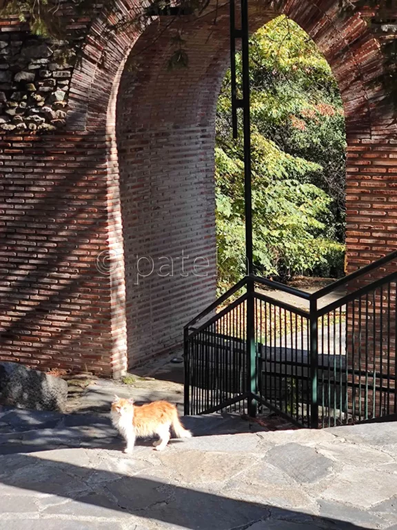 Крепост Хисарлъка Кюстендил