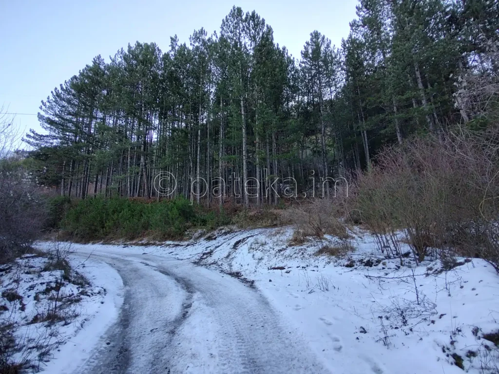 По маршрута за Сакошките водопади