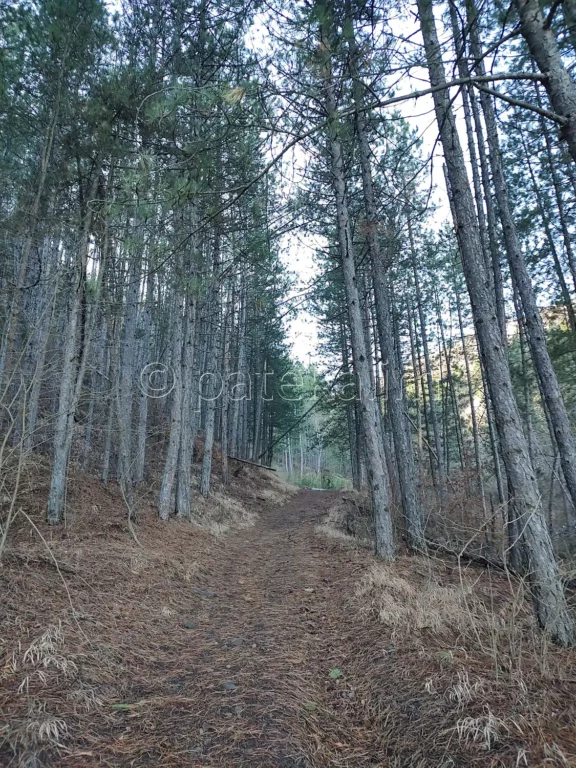 По маршрута за Сакошките водопади