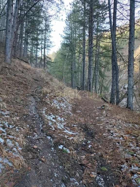 Разклон по пътеката за Сакошките водопади