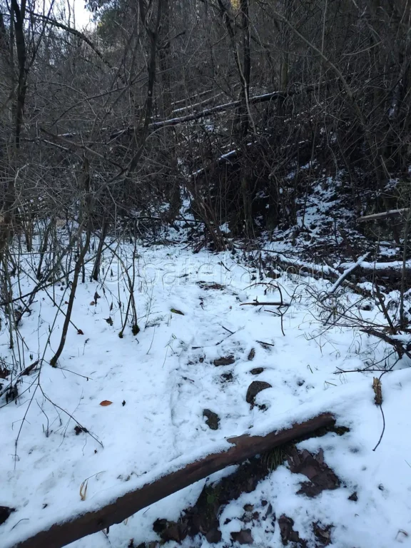 Пътеката за Сакошките водопади