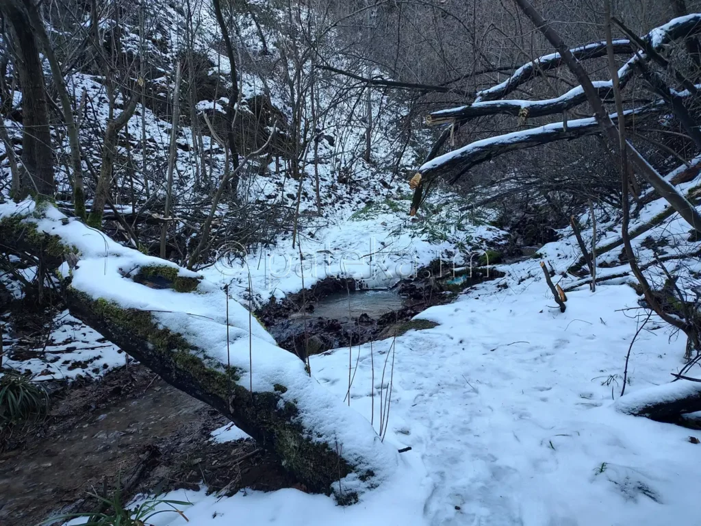 Пътеката за Сакошките водопади