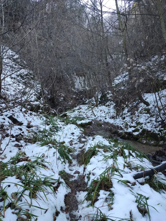 По маршрута за Сакошките водопади