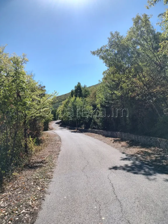 Пътят между Бобошево и Бобошевския манастир Св. Димитър