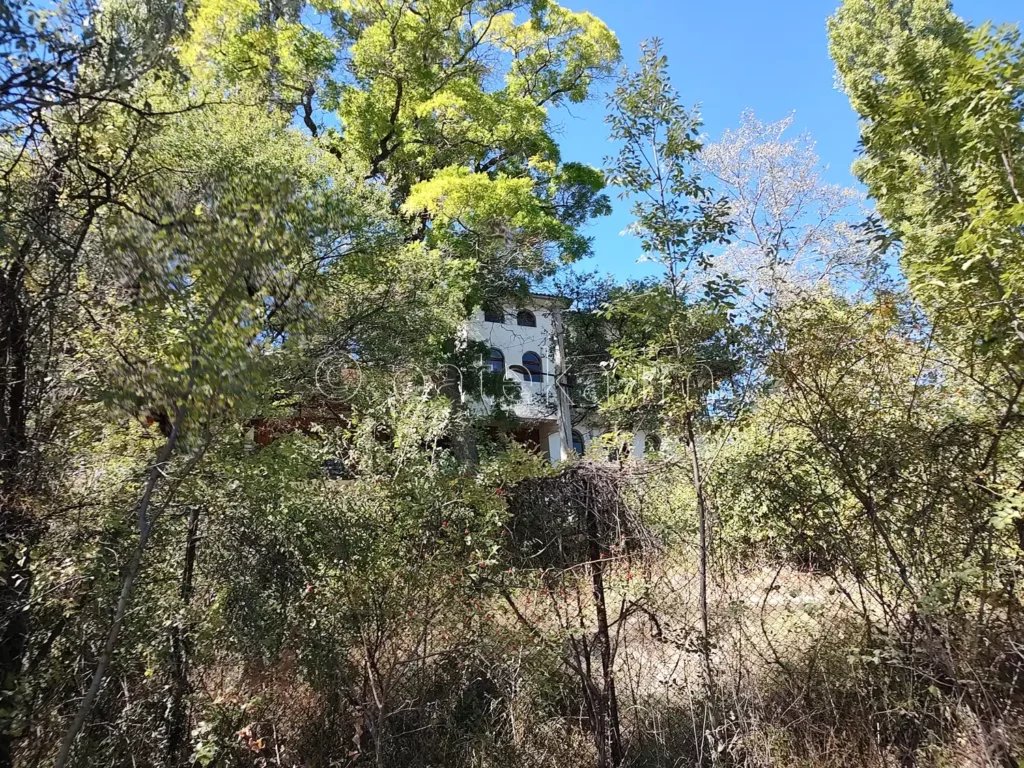 Изоставената хижа Яна, вдясно от пътя