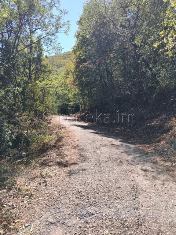 Пътят за Бобошевския манастир