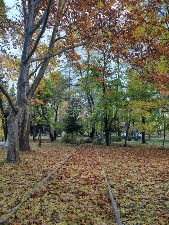 Паркът до Кадин мост в Невестино през есента