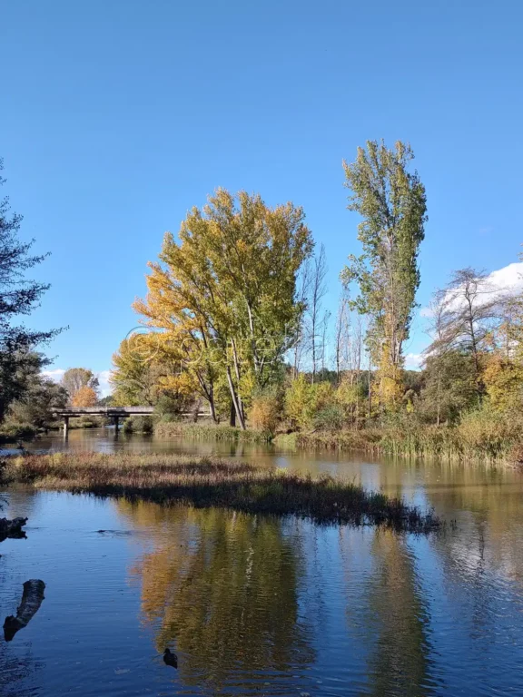 Река Струма в Невестино