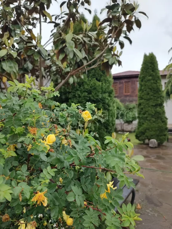 Двора на Лопушанския манастир