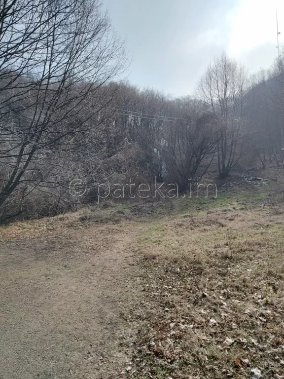 Поляната в близост до Бачковския водопад и пътечката покрай реката
