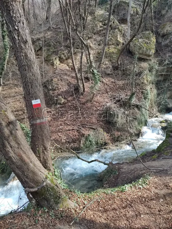 Пътечката покрай р. Клувийско дере към Бачковския водопад