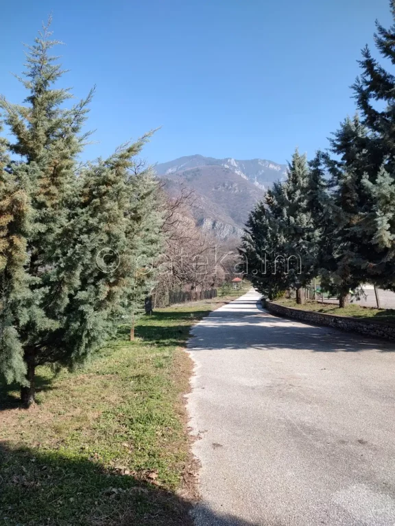 Алеята към м. Клувията