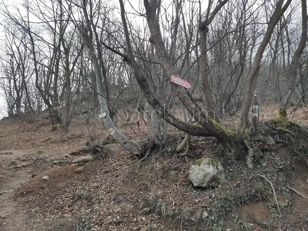 Разкон по маршрута на Зелената пътека за м. Клувията в близост до Бачковския манастир