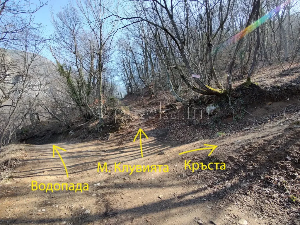 Разкон по маршрута на Зелената пътека за м. Клувията в близост до Бачковския манастир