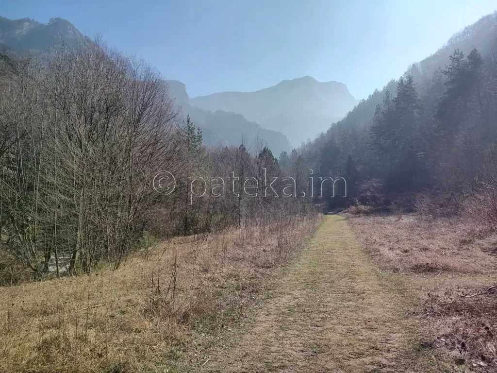 Дългата поляна