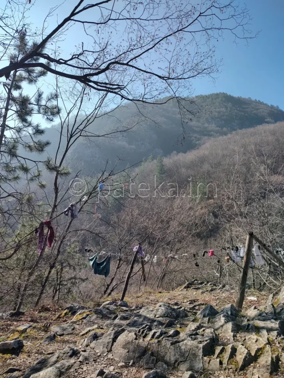 Панорамна площадка над пещерата в м. Клувията по маршрута на Зелената пътека