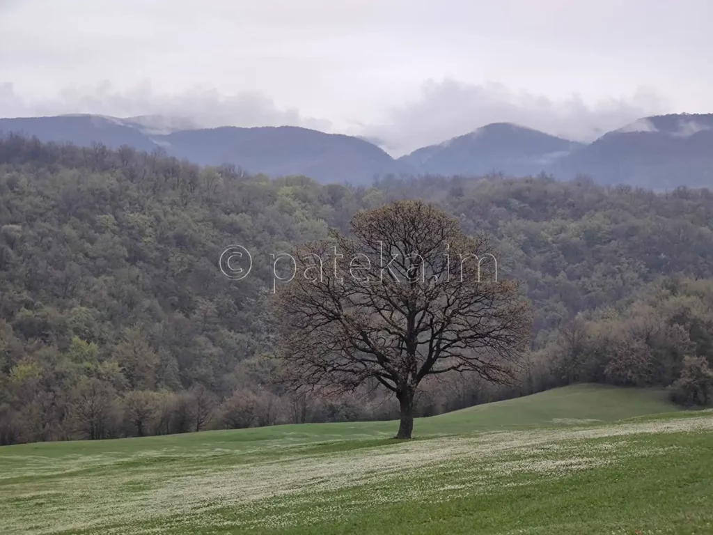 Гледка към Родопите по маршрута за водопад Азовско падало