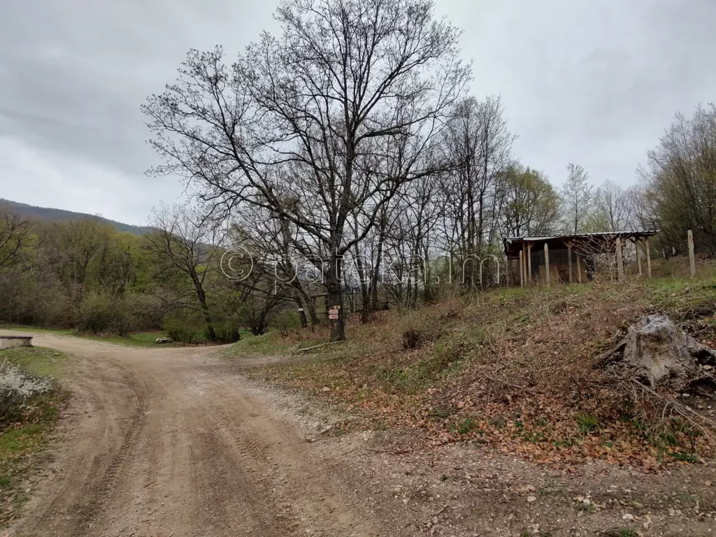 Мястото, където към маршрута за водопад Азовско падало се присъединява пътят от село Голямо Белово