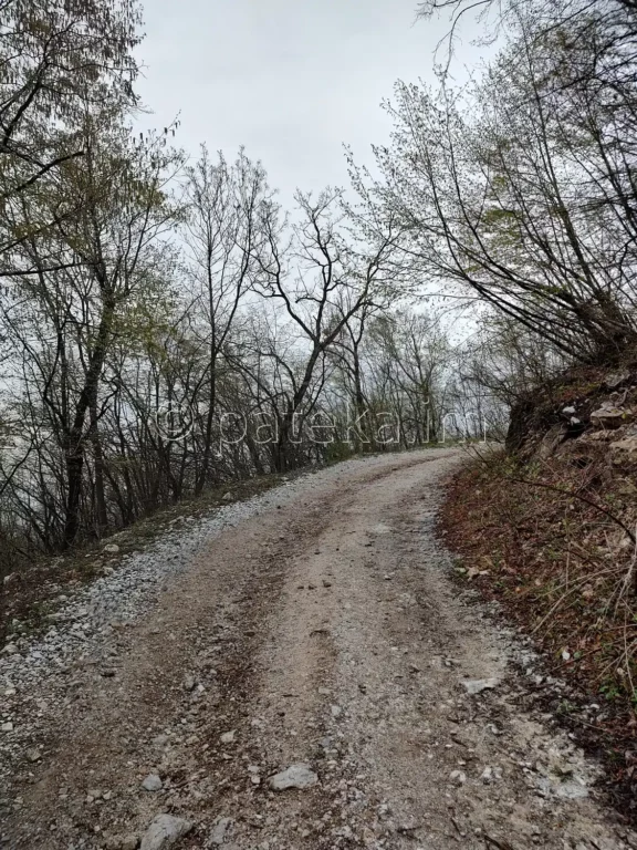 По маршрута за водопад Азовско падало