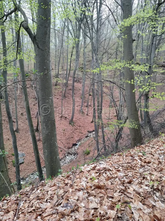 Река, която се преминава по маршрута за водопад Азовско падало