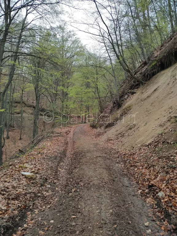 По пътя за Азовското падало