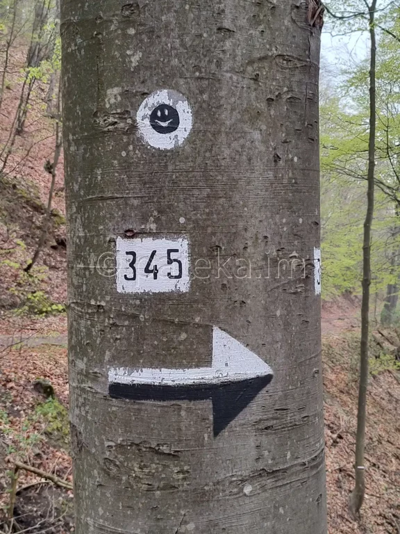 Маркировка черно и бяло