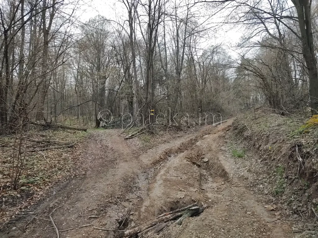 Разклонът към пътеката за водопад Азовско падало