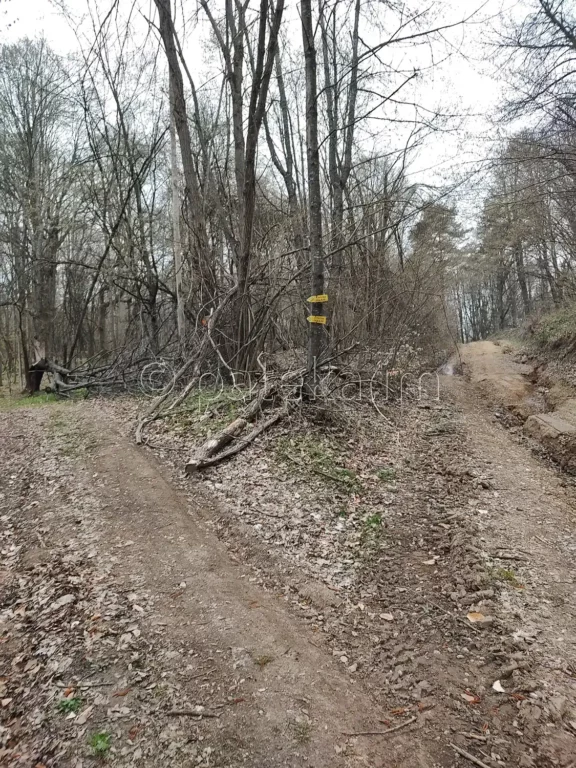 Разклонът, където маршрутът за водопад Азовско падало се отделя от черния път