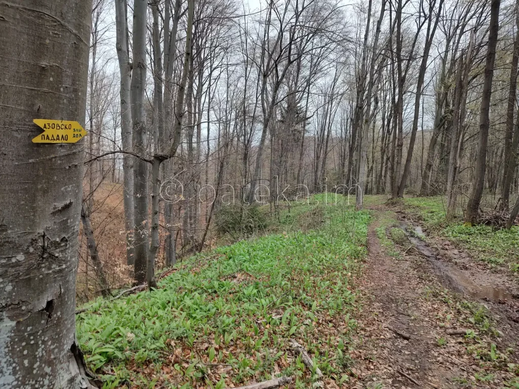 Пътят към водопад Азовско падало