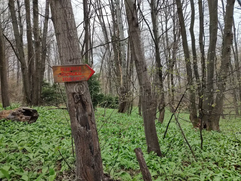 Указателна табелка за водопад Азовско падало и поляната с левурда