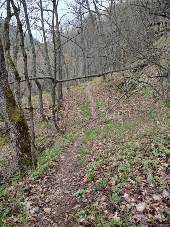 По маршрута за водопад Азовско падало в Родопите