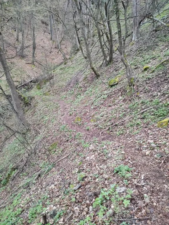 Пътеката към водопад Азовско падало