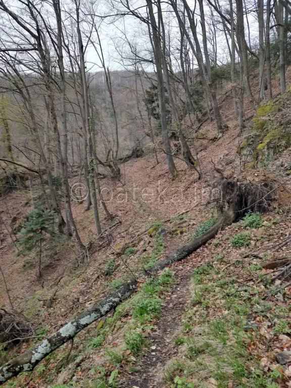 Пътеката към водопад Азовско падало