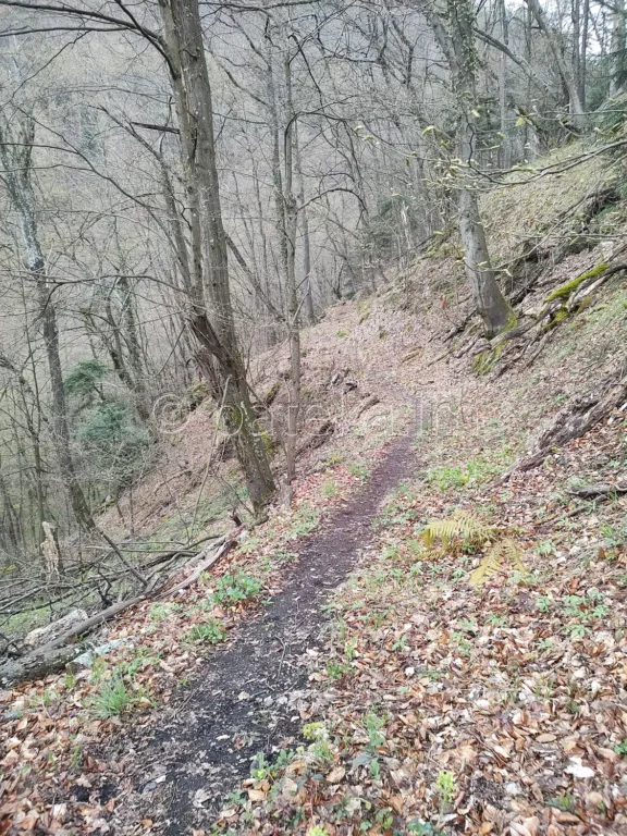 Пътеката към водопад Азовско падало