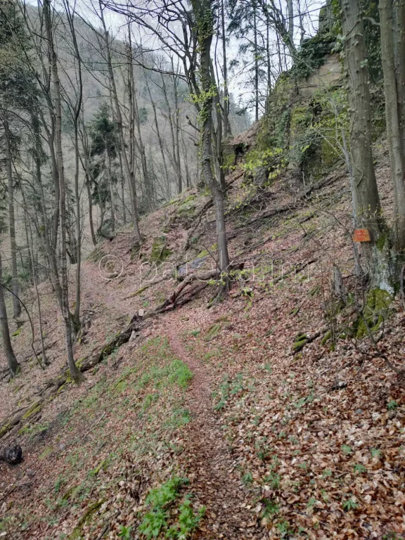 Пътеката към водопад Азовско падало