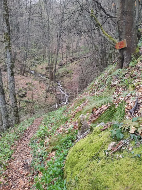 По маршрута към водопад Азовско падало