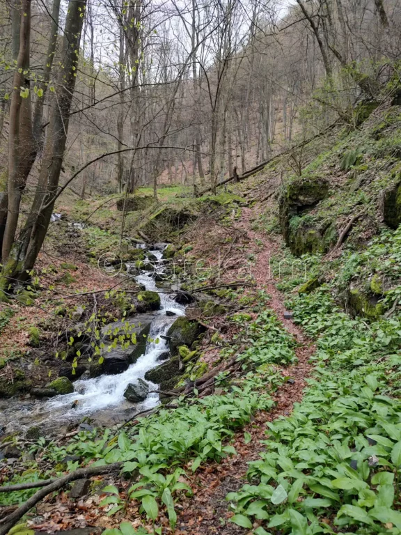 Пътеката край река Азовица