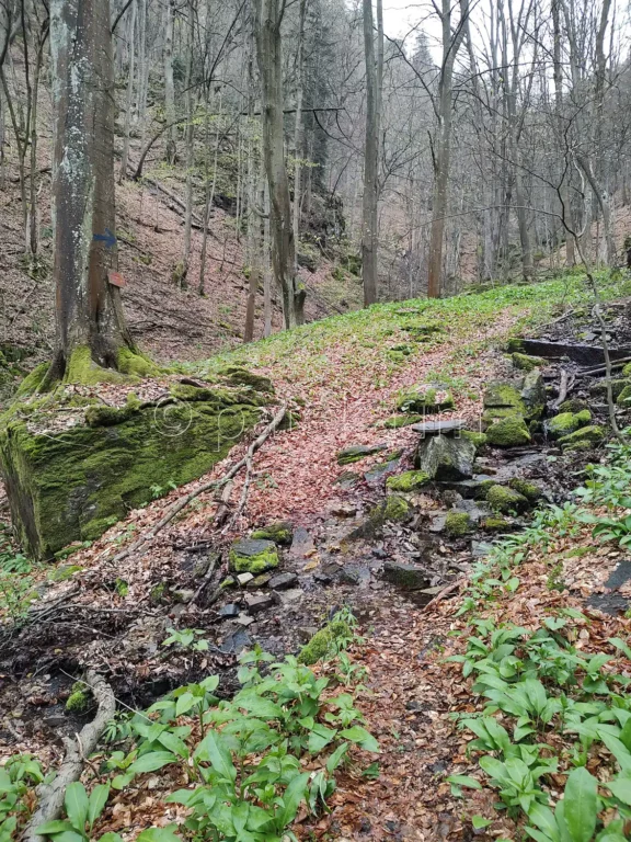 Пътеката за Азовското падало пресича приток на реката