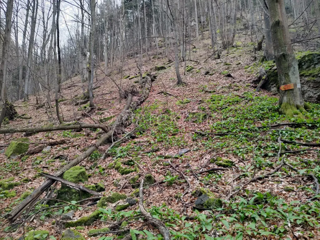 Пътеката за Азовското падало