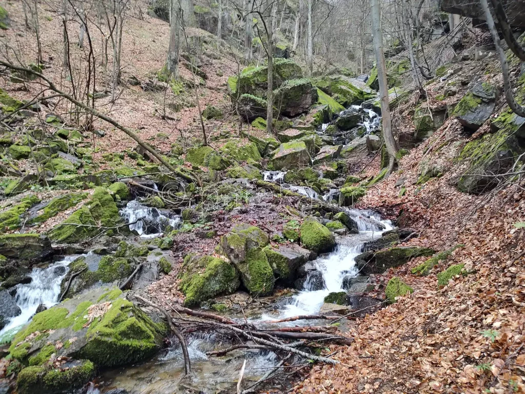 По маршрута за водопад Азовско падало