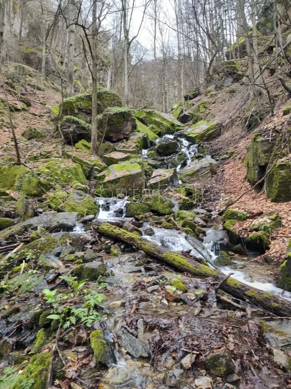 Пътеката за Азовското падало пресича река Азовица